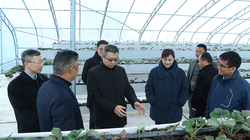 赢多多(中国区)官网 -手机版APP下载站