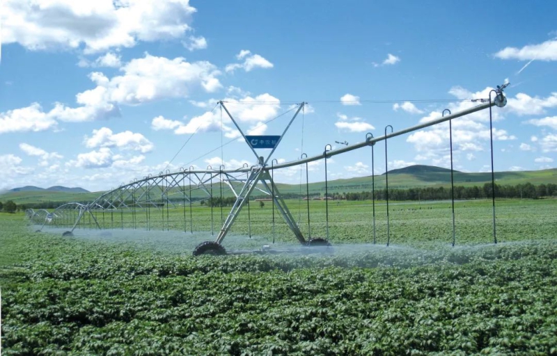 赢多多(中国区)官网 -手机版APP下载站