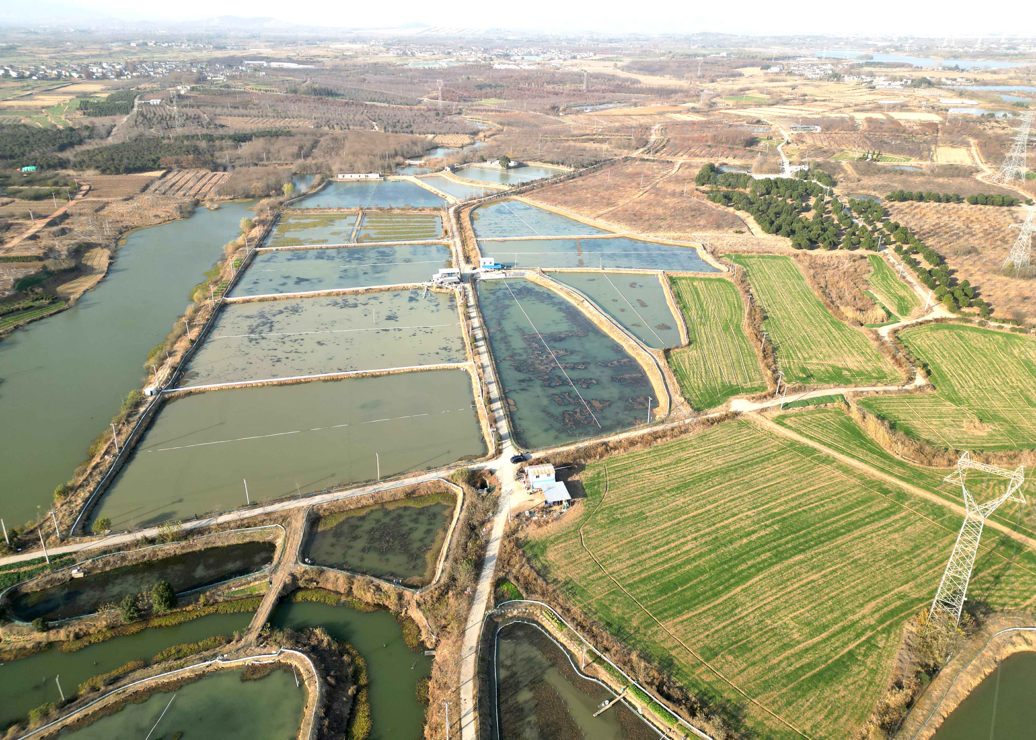 赢多多(中国区)官网 -手机版APP下载站